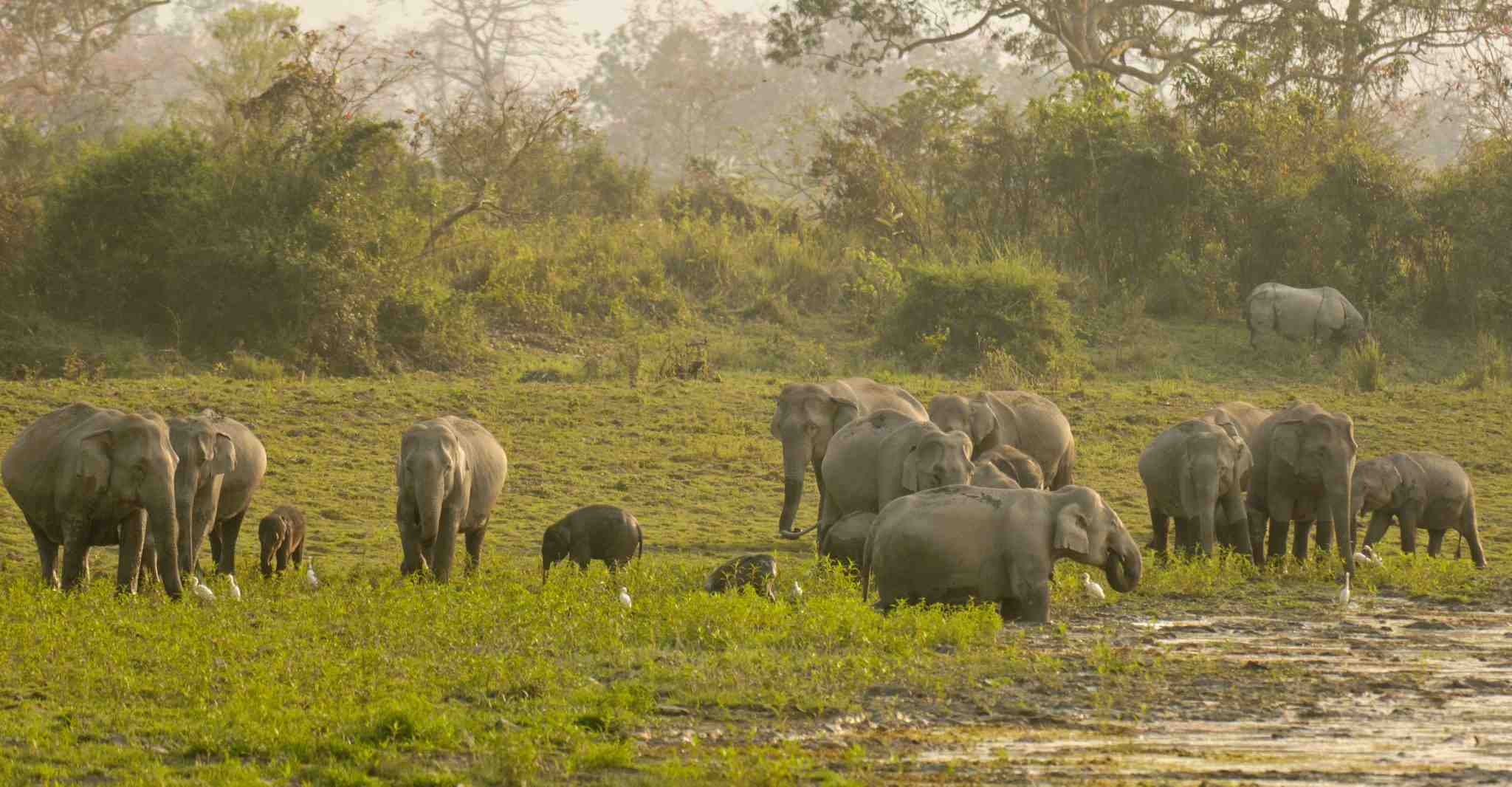 car rental in chitwan